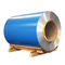 Color Coated Prepainted Color Coated Steel Coil